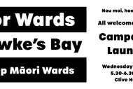 For Wards Hawke's Bay Campaign Launch