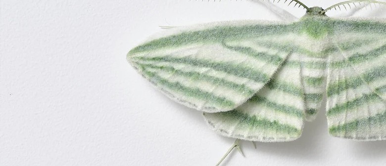 New Winds Te Uru Art Auction Fundraiser