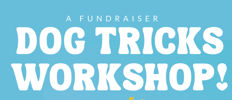 Katikati Dog Tricks Workshop
