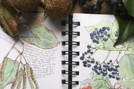 Nature Journaling