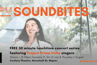 PPV Soundbites Series