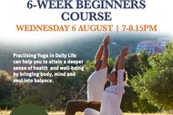 6 Week Yoga & Relaxation Course - Kapiti Ashram