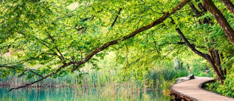 Meditation: Toolkit For Calm