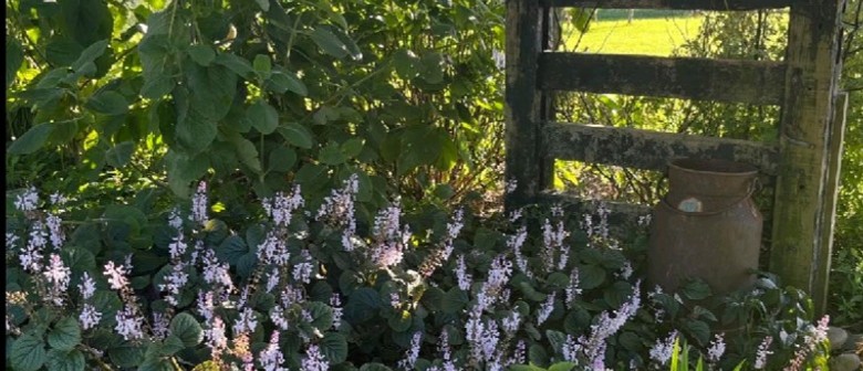 Te Horo Garden Trail