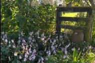 Te Horo Garden Trail