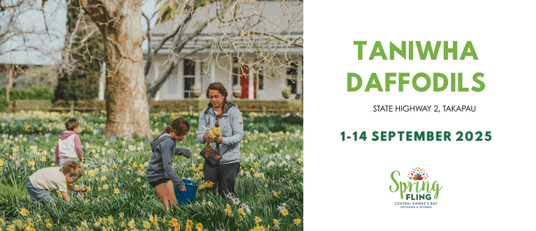 Taniwha Daffodils