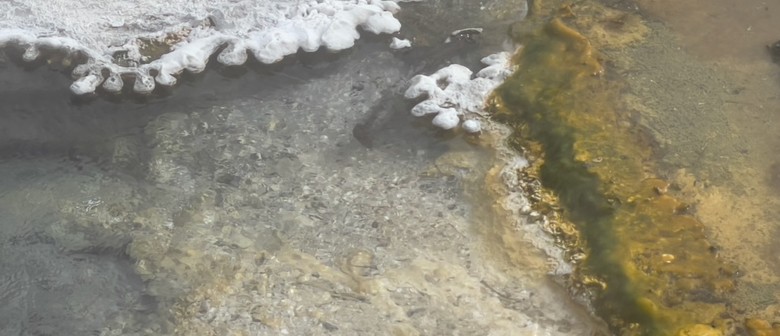 Ten Years of Astrobiology: Geothermal Field Trip for Primary Teachers