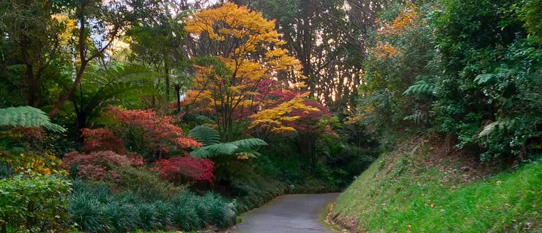 A Walk On the West Side - Guided Walk