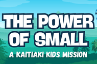 The Power of Small: A Kaitiaki Kids Mission