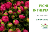 Picnic in the Peonies