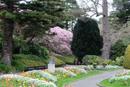 True Tales of The Past of The Wellington Botanic Garden - Guided Walk