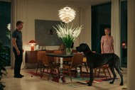 NZIFF: Peacock (1)