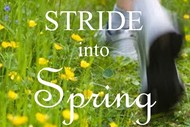 Stride into Spring