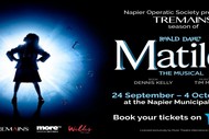 Matilda The Musical