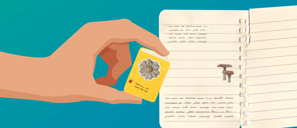 Mini Books