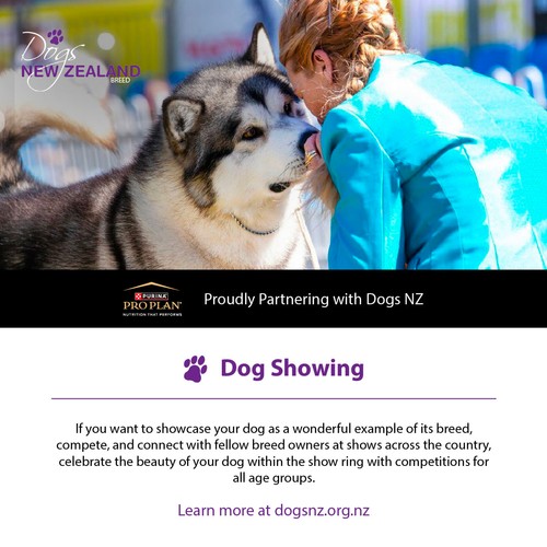 Pencarrow & Upper Hutt Kennel Assn. All Breeds Championship Dog Shows