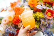 ¡Salud! Festival