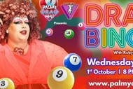 Drag Bingo W/RubyDax - Palmy Drag Fest 2025