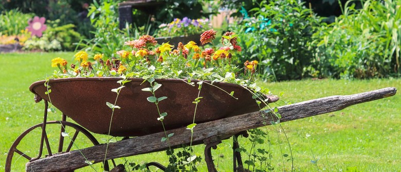 Self-Guided Garden Tour Renwick and Surrounds