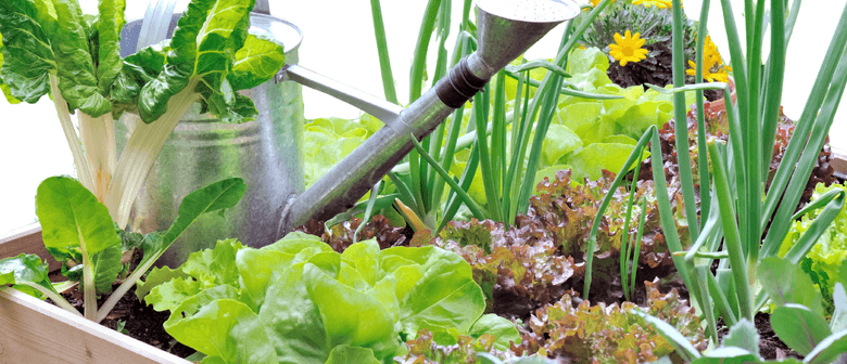 Spring Container Planting Workshop