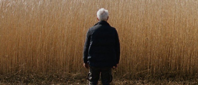 NZIFF - Reedland