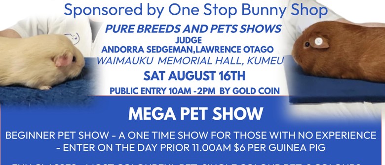 Guinea Pig Show