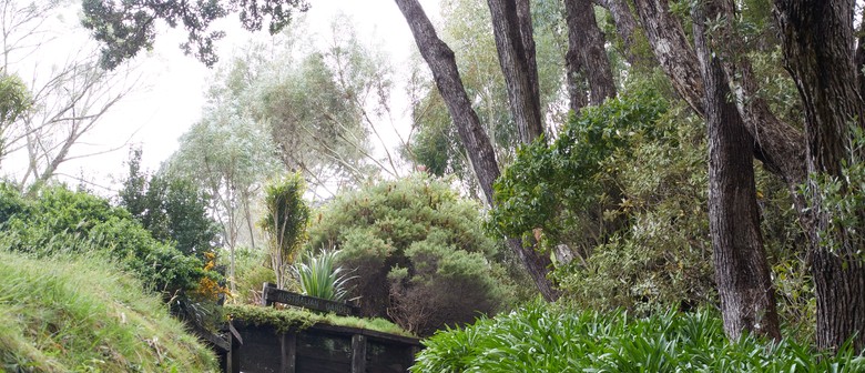 Around the World In Fifteen Plants - Guided Walk