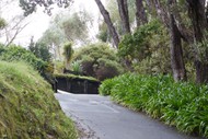 Around the World In Fifteen Plants - Guided Walk