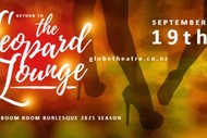 Return to The Leopard Lounge