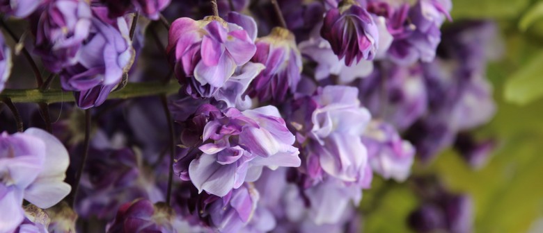 Seasonal Scavenger Hunt: Spring