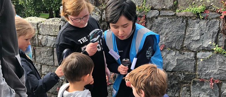 Tamariki Discover: Spring