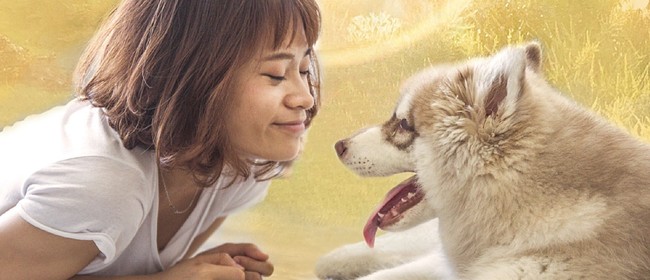 Animals Are Souls Too!