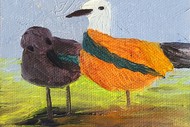 Exhibition: Windows Into Nature