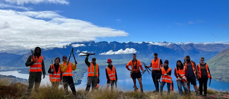 Wilding Pine Volunteer Event in Queenstown