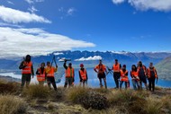 Wilding Pine Volunteer Event in Queenstown