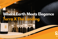 Where Earth Meets Elegance: Terra X The Landing