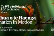 Te Āhua o te Haenga | Pollination in Motion