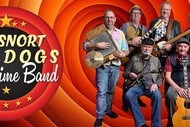 Hogsnort Bulldogs Goodtime Band