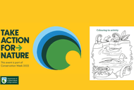 Conservation Week Colouring Competition