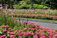 Spring Floral Display Accessible Self-Drive Tour