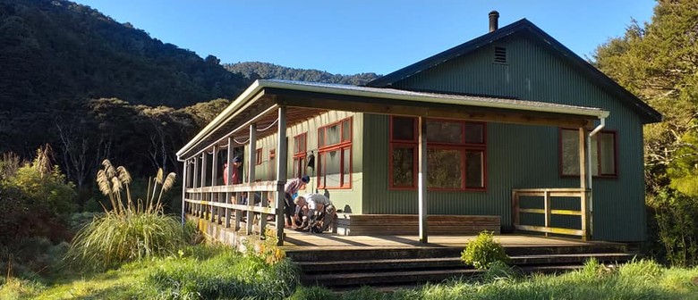 Wairarapa Walking Festival 2025: Waiohine to Holdsworth Overnight