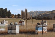 Michael Hight: Whakatipu (2025)