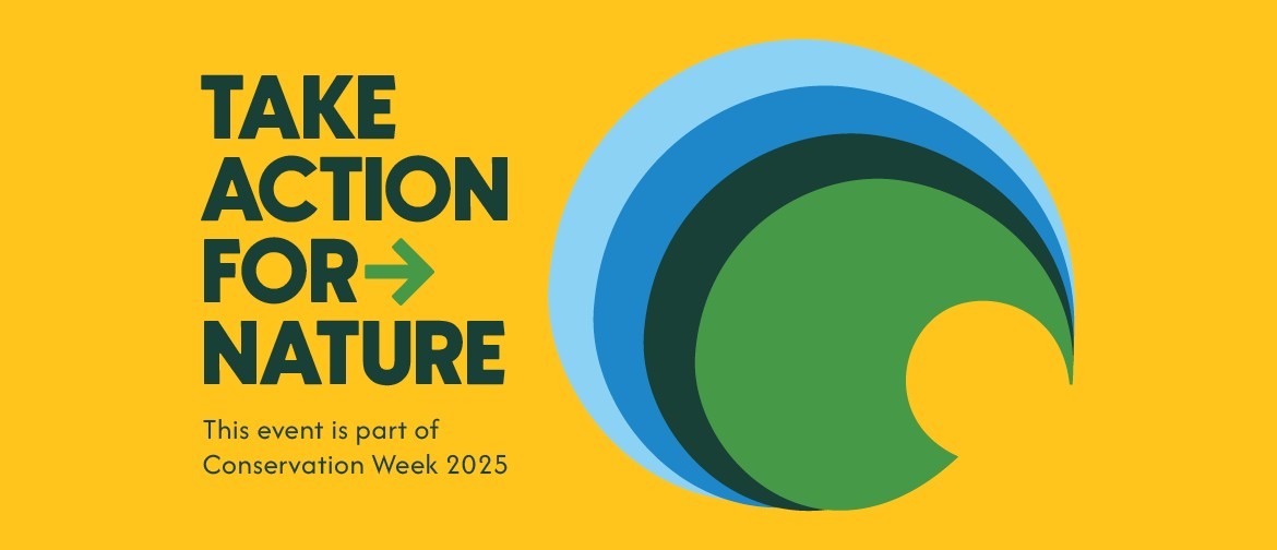 Conservation In Action! - Where Are We and What Have We Learnt
