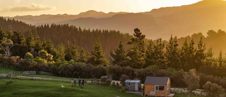 Wairarapa Walking Festival 2025: Pōhatu Farm Riversdale Beach Hike