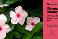 Botanical Insights talk - Pharmaceutical Botany