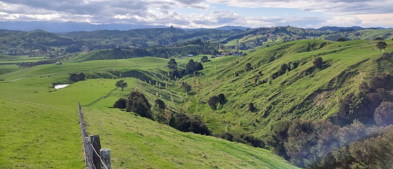Wairarapa Walking Festival 2025: Hāpua Farm