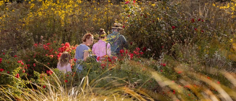 Wairarapa Walking Festival 2025: Longbush Cottage Garden Ramble
