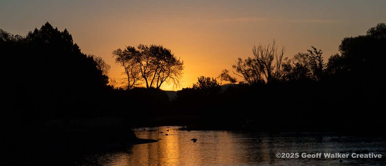Wairarapa Walking Festival 2025: Photo Walks with Walker - Henley AM