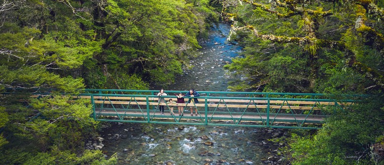 Wairarapa Walking Festival 2025: Holdsworth Restoration Trust Walk