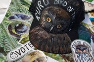 Create Your Own Bird of The Year Merch!